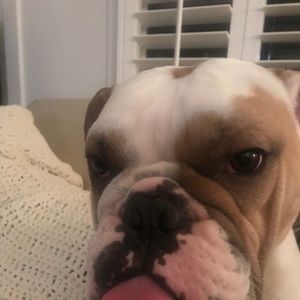 Meet your Posher, Kelly